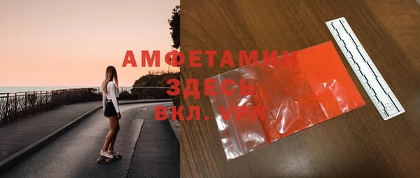 ГАЛЛЮЦИНОГЕННЫЕ ГРИБЫ Вяземский